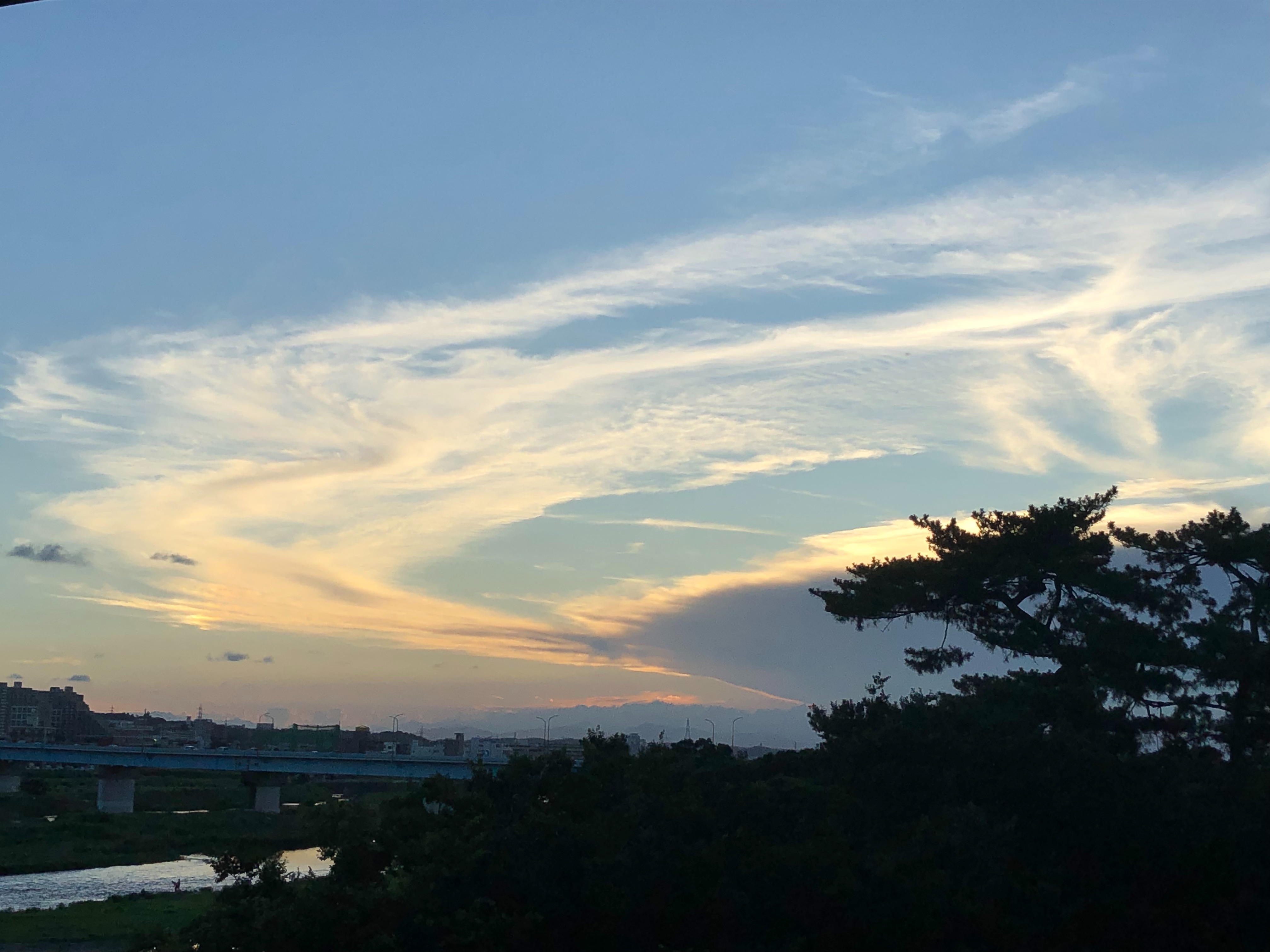 f:id:aiironokinomonogatari:20190807063207j:image f:id:aiironokinomonogatari:20190807063207j:image