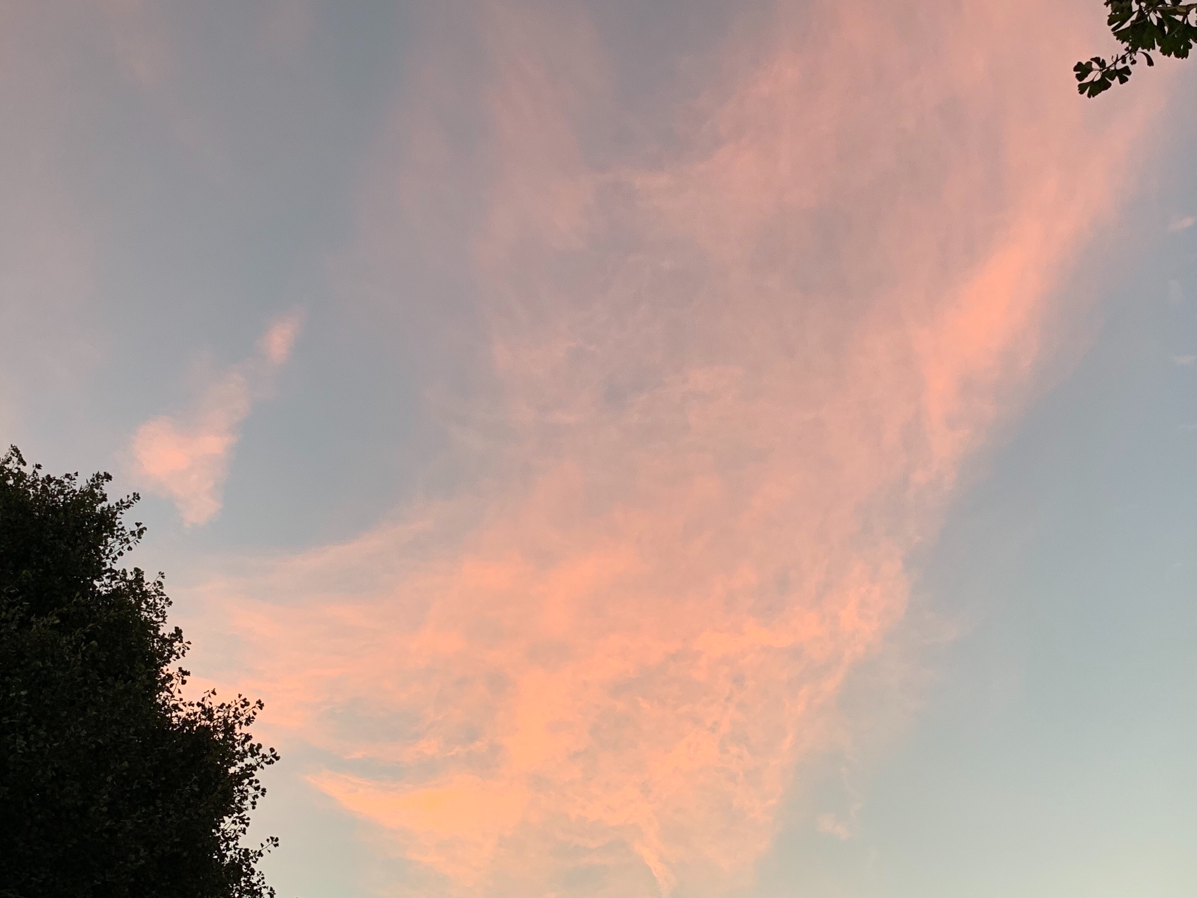 f:id:aiironokinomonogatari:20190817005719j:image f:id:aiironokinomonogatari:20190817005719j:image