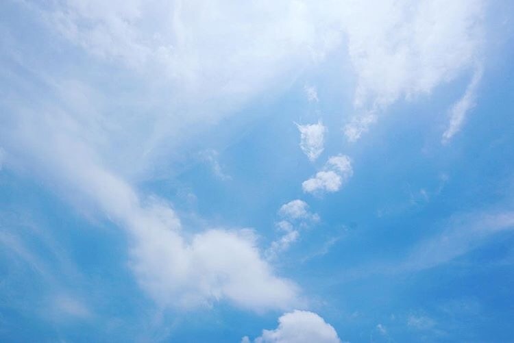 f:id:aiironokinomonogatari:20190914101030j:image f:id:aiironokinomonogatari:20190914101030j:image