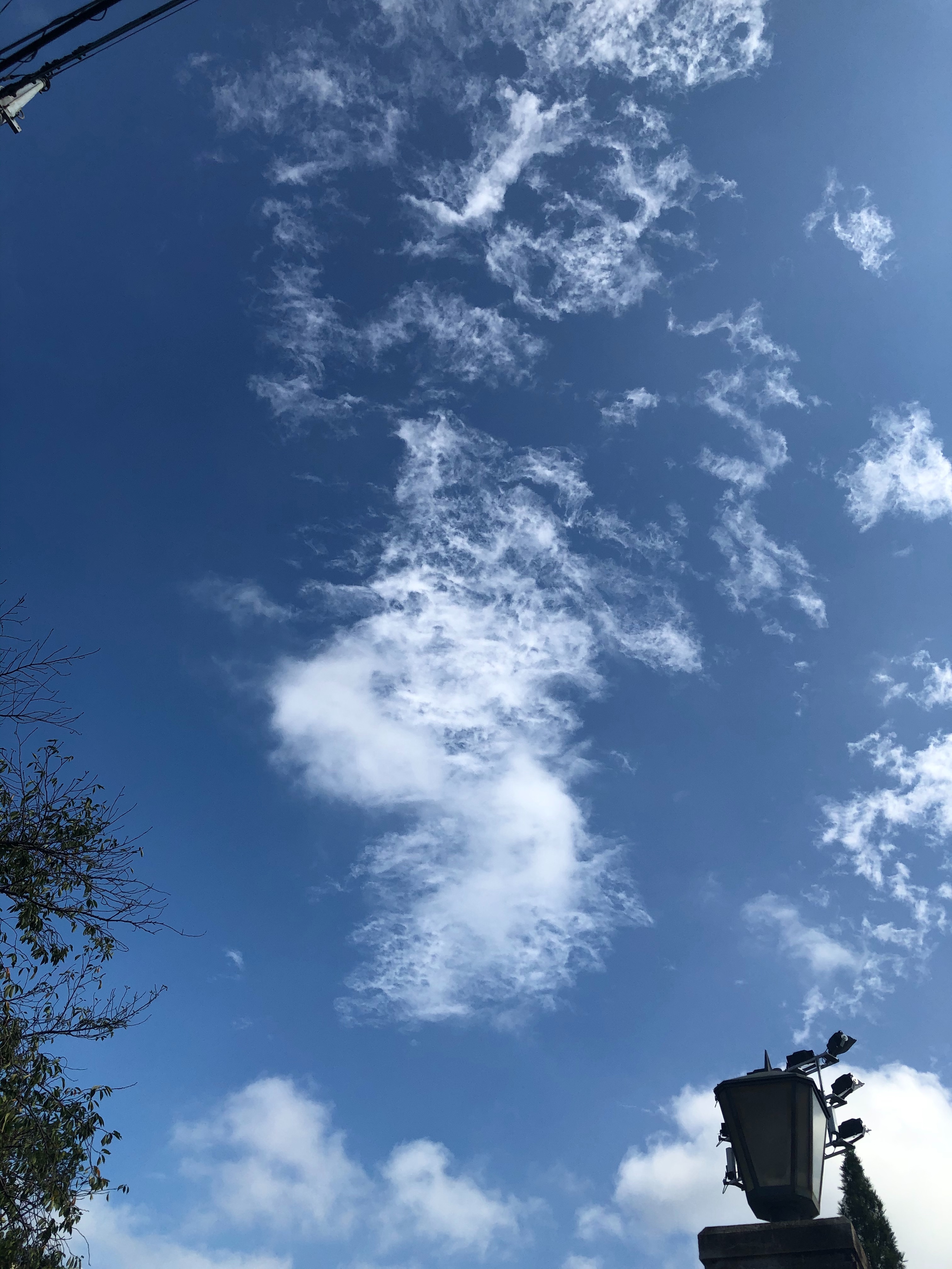 f:id:aiironokinomonogatari:20191007122133j:image f:id:aiironokinomonogatari:20191007122133j:image
