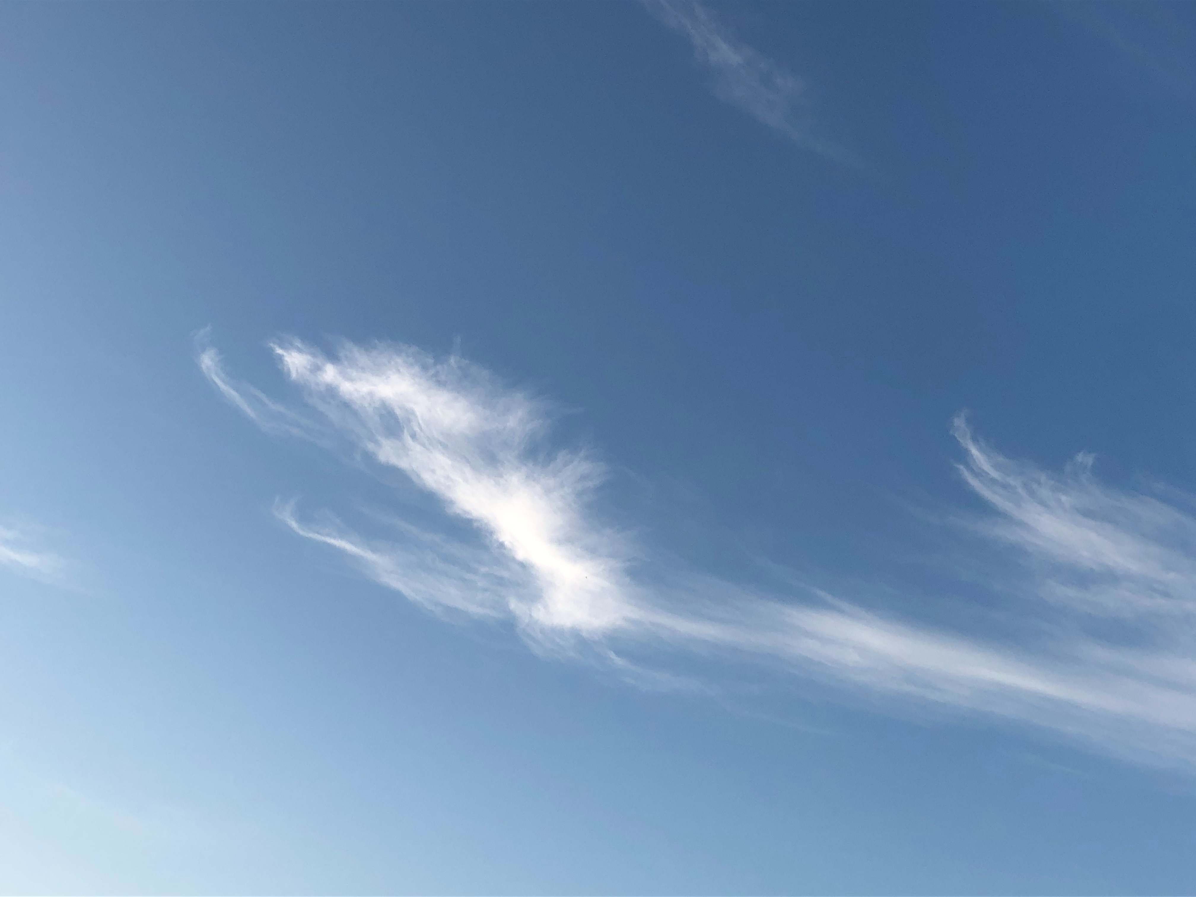 f:id:aiironokinomonogatari:20191221144143j:image f:id:aiironokinomonogatari:20191221144143j:image