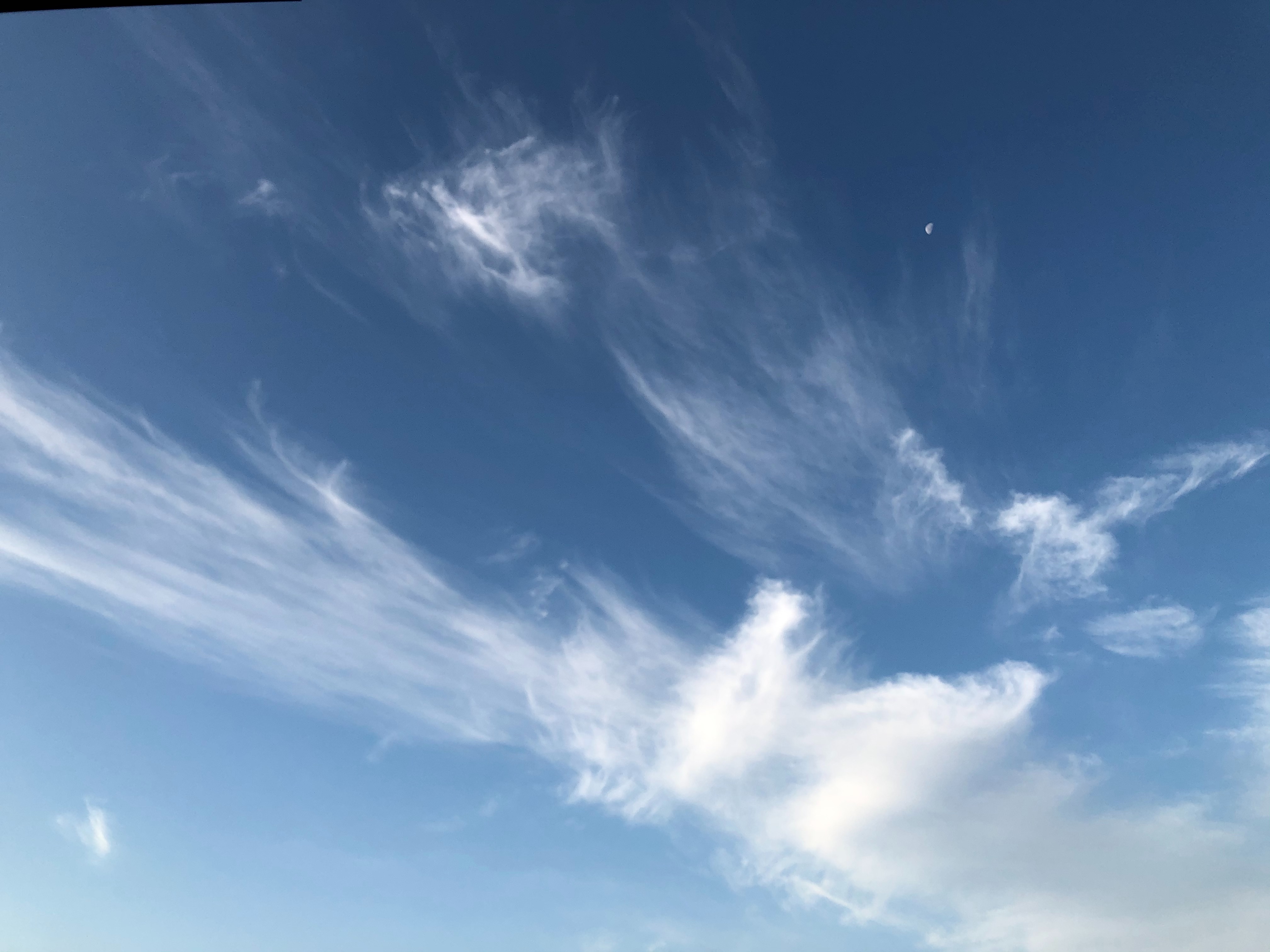 f:id:aiironokinomonogatari:20191223004548j:image f:id:aiironokinomonogatari:20191223004548j:image