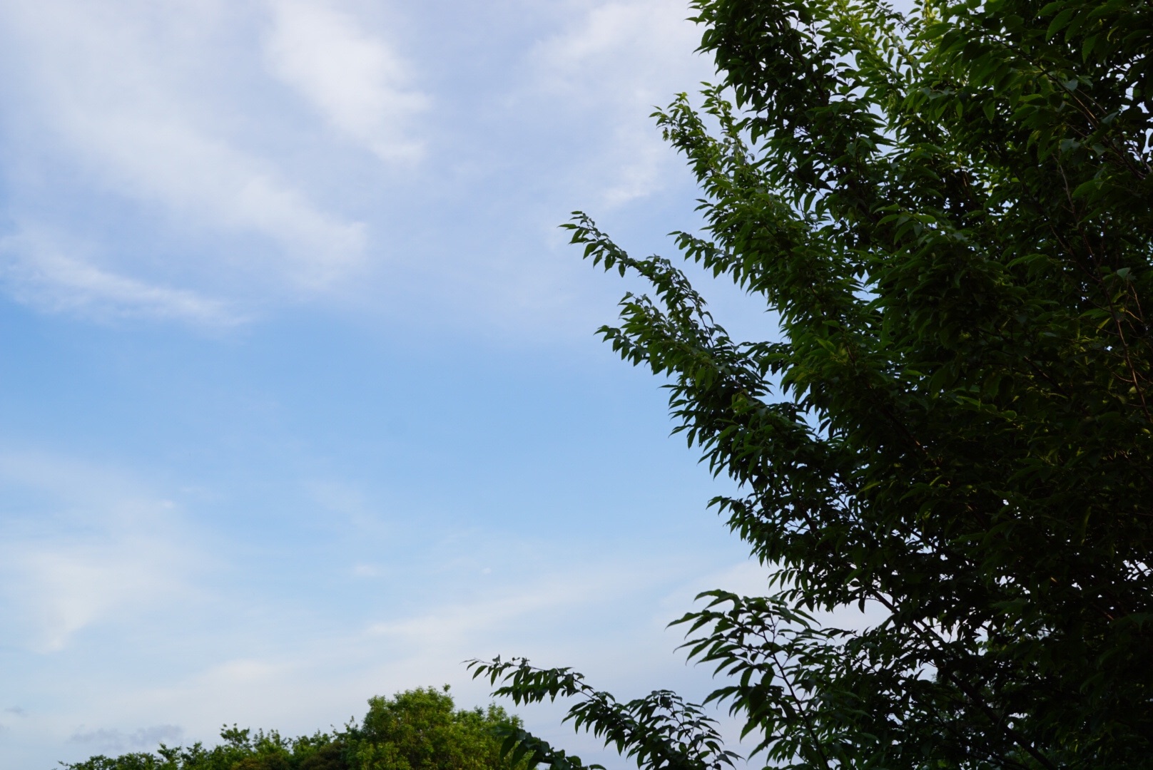 f:id:aiironokinomonogatari:20200603112721j:image f:id:aiironokinomonogatari:20200603112721j:image