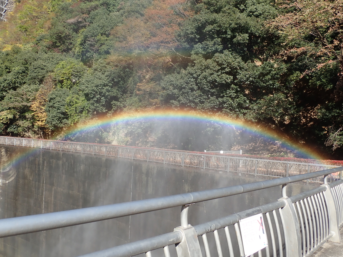f:id:aikawa_park:20201111130652j:plain