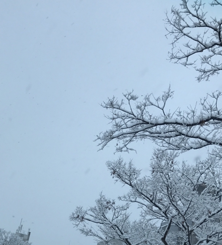 Image_9add88f.jpg