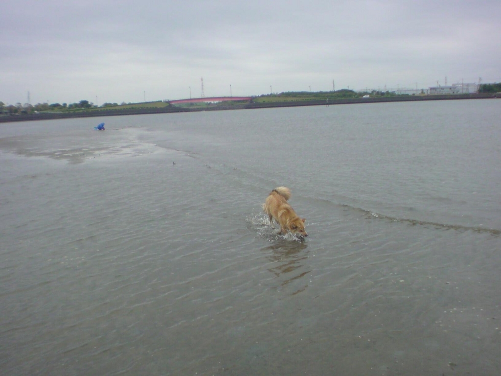 f:id:aiken_makiss:20180501104821j:plain