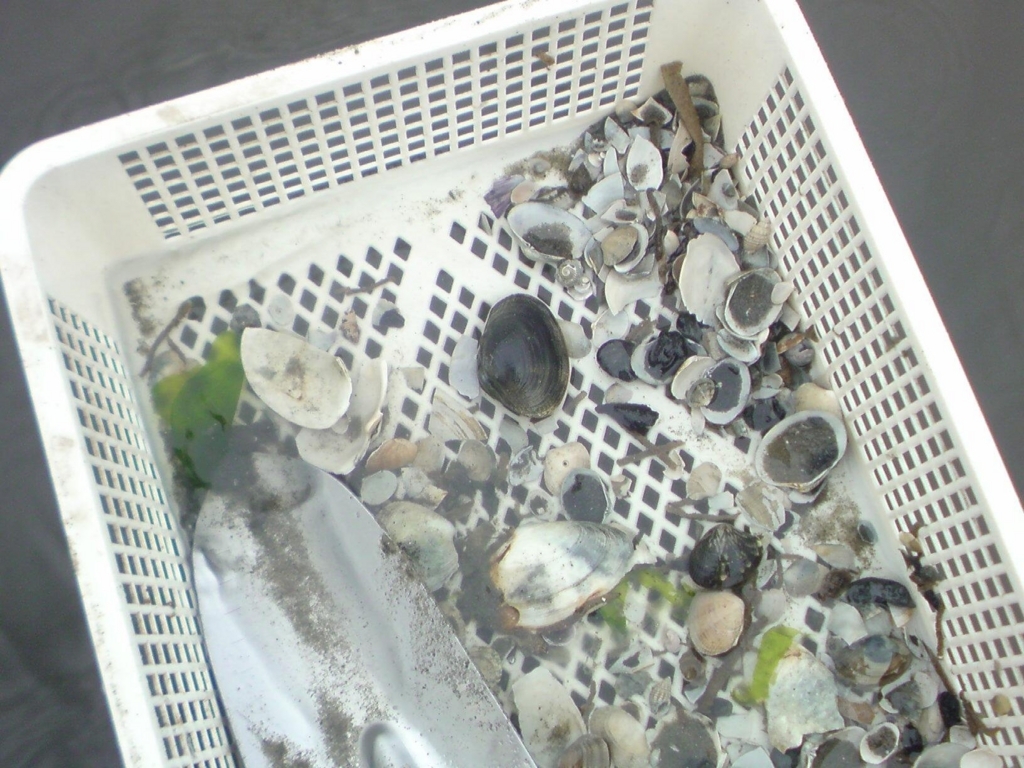 f:id:aiken_makiss:20180501105945j:plain