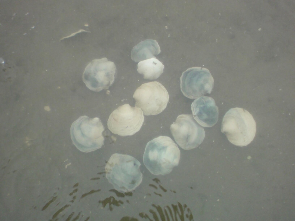 f:id:aiken_makiss:20180501111314j:plain