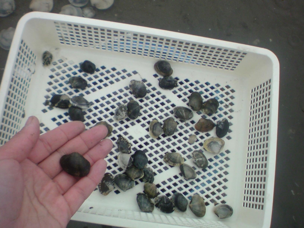 f:id:aiken_makiss:20180501111440j:plain