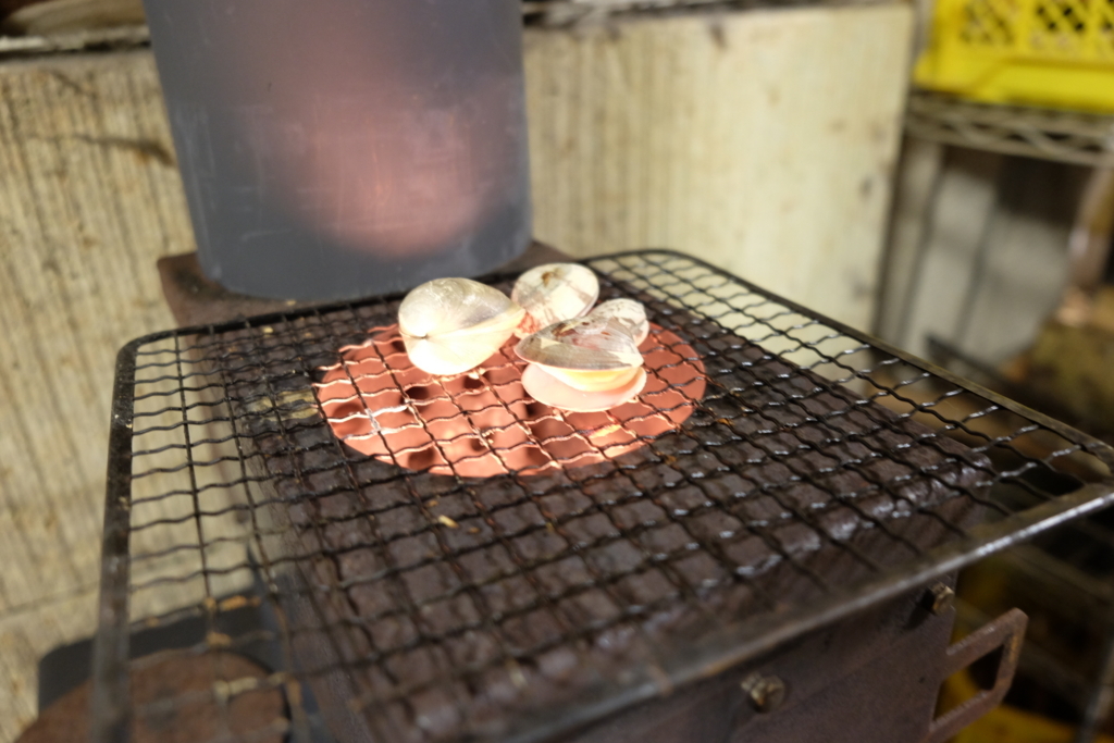 f:id:aiken_makiss:20180502084928j:plain