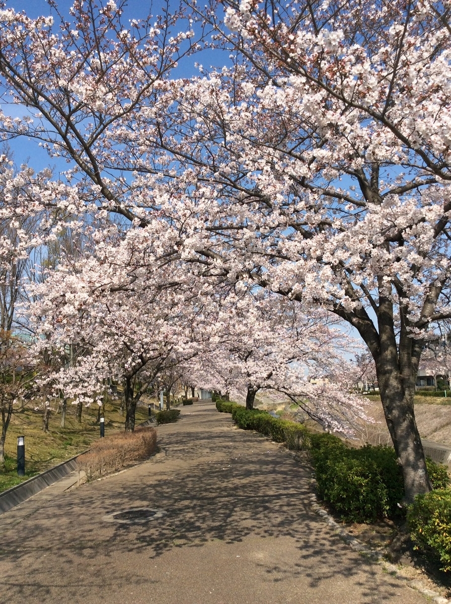 f:id:aiken_makiss:20210328145822j:plain