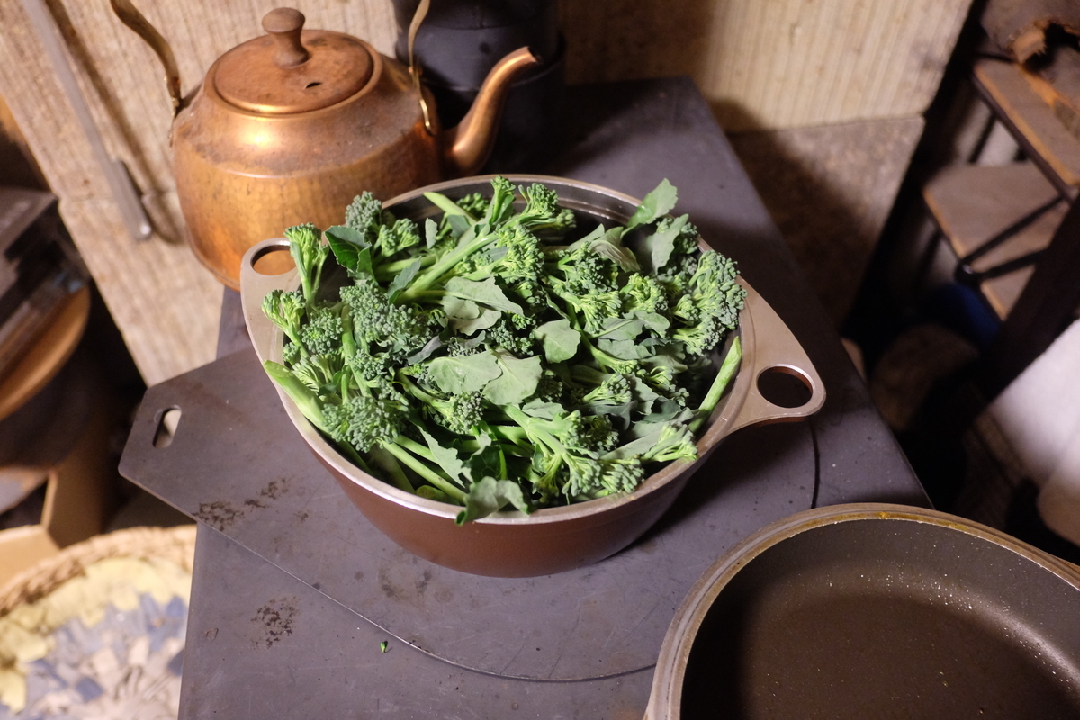 f:id:aiken_makiss:20210330214925j:plain