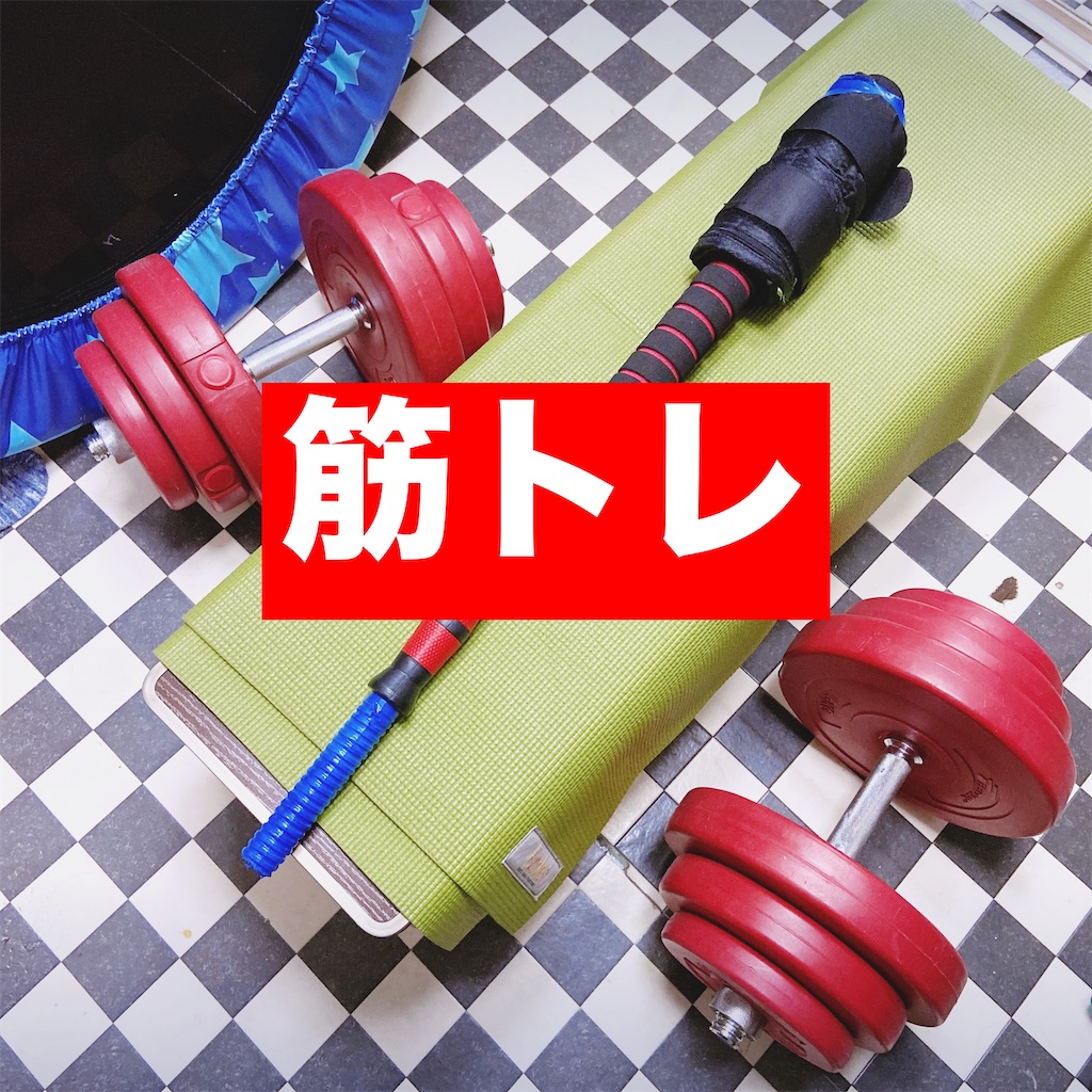 f:id:aikidofun:20231122234524j:image