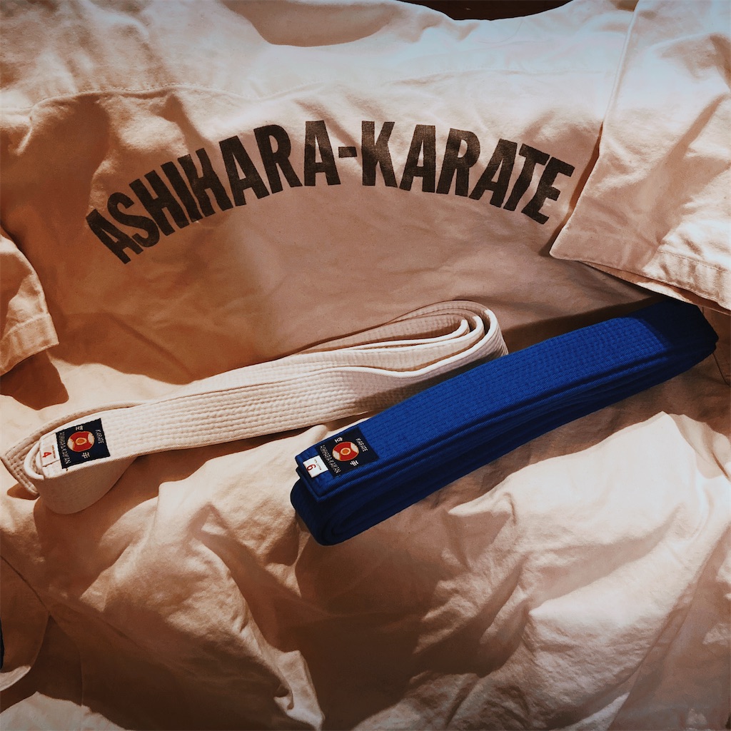 f:id:aikidofun:20231125000536j:image