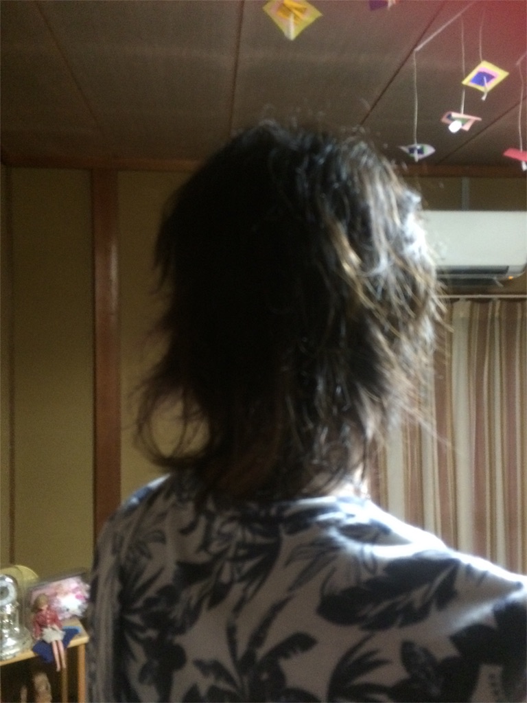 f:id:aikinoko:20160819221728j:image f:id:aikinoko:20160819221728j:image