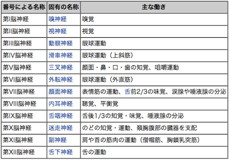 8 7 神経のフィジカルアセスメント 問診 12の脳神経のアセスメント 地域看護師のブログ 8 7 神経のフィジカルアセスメント 問診 12の脳神経のアセスメント 地域看護師のブログ
