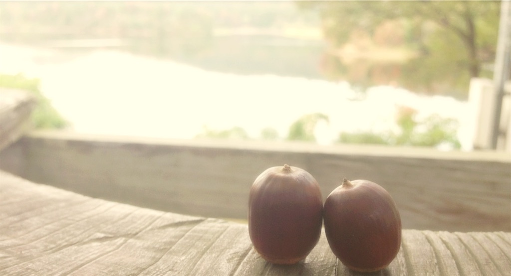 f:id:aiko0202k:20220515065646j:image f:id:aiko0202k:20220515065646j:image
