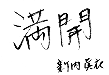 f:id:aikoaaaaan:20140519183601p:plain