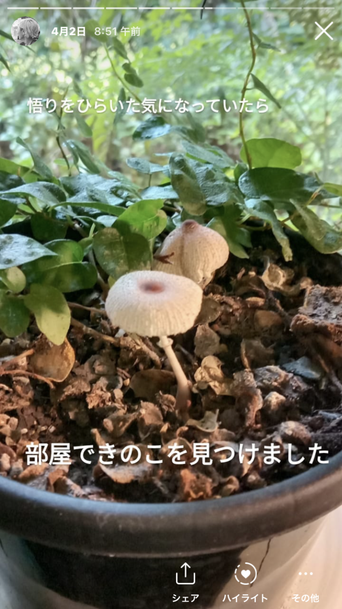 f:id:aikohana:20210605075758p:plain