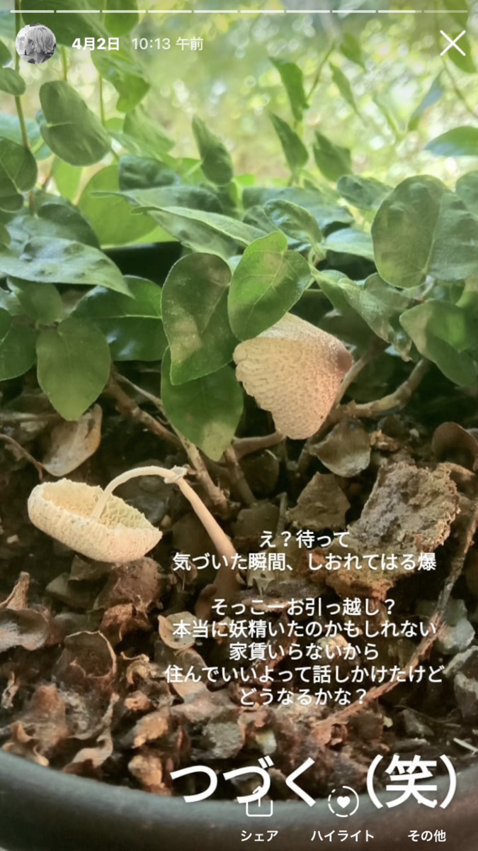 f:id:aikohana:20210605075918p:plain