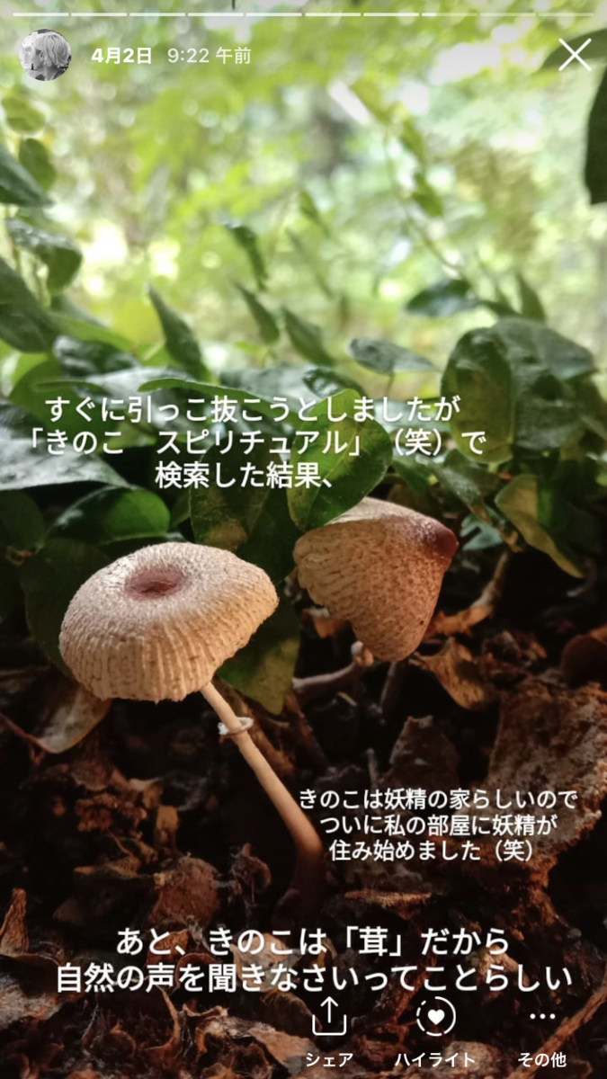 f:id:aikohana:20210605080031p:plain