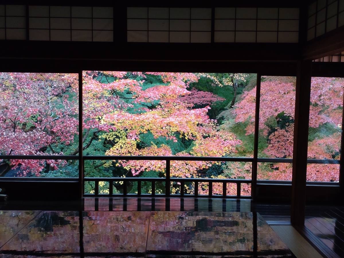 f:id:aikosu0825:20211202164742j:plain