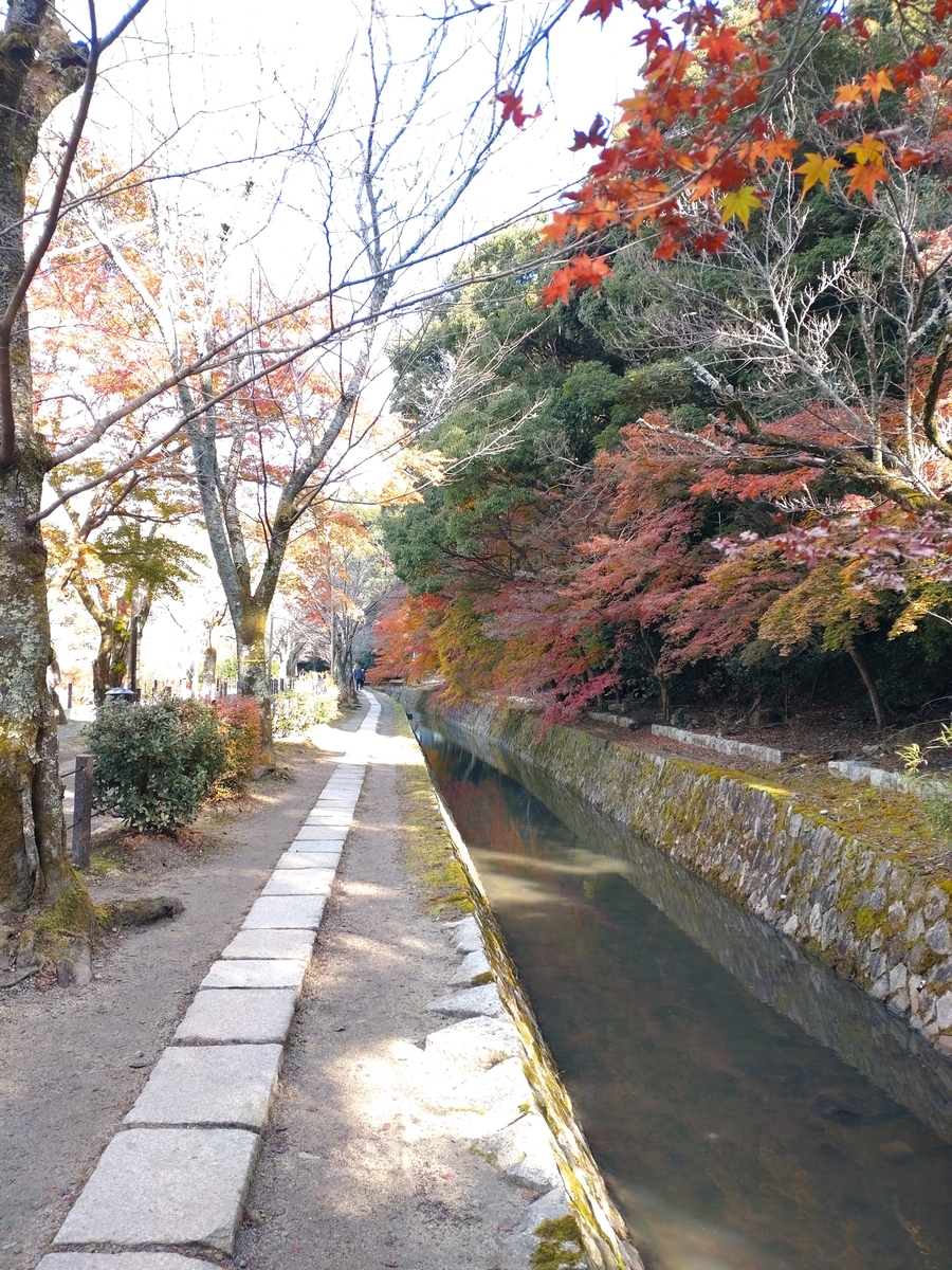 f:id:aikosu0825:20211202164908j:plain