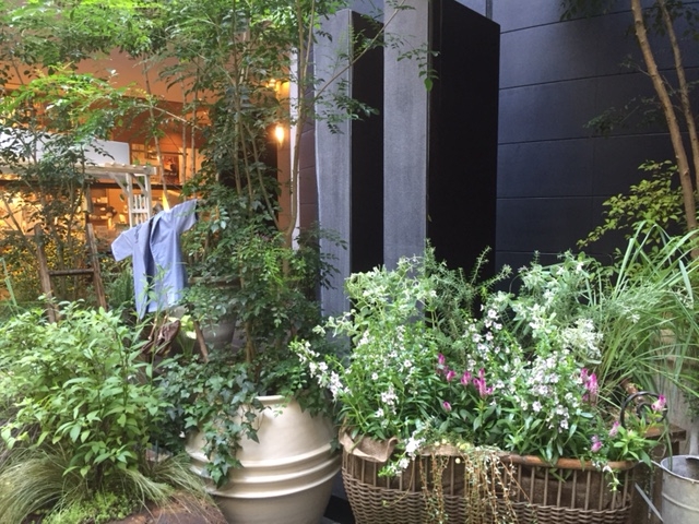 f:id:aikowakakusa16:20160908184252j:plain f:id:aikowakakusa16:20160908184252j:plain