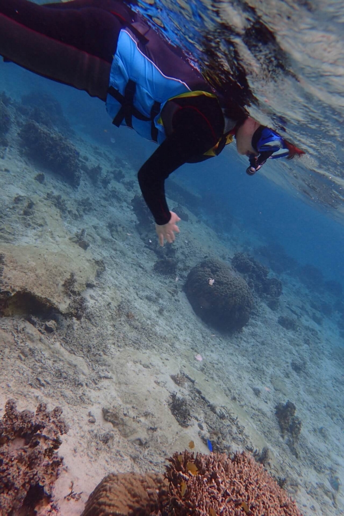 f:id:aikowakakusa16:20170329074328j:plain