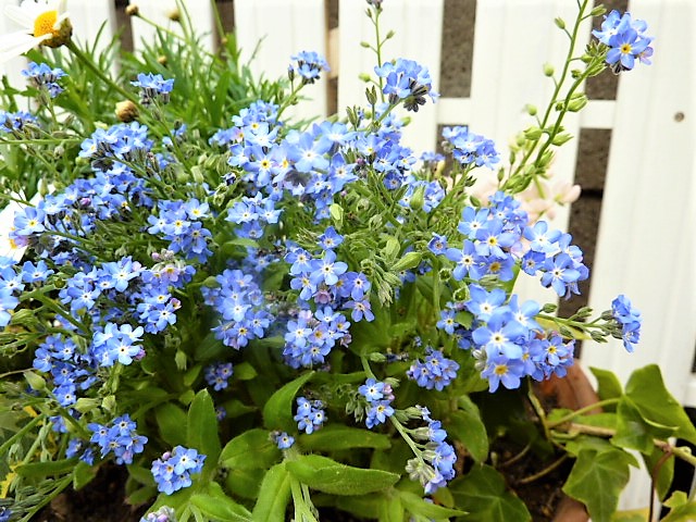 塩シャンを始めてから髪が若返った その方法とは そこにいるだけでいい 塩シャンを始めてから髪が若返った その方法とは そこにいるだけでいい