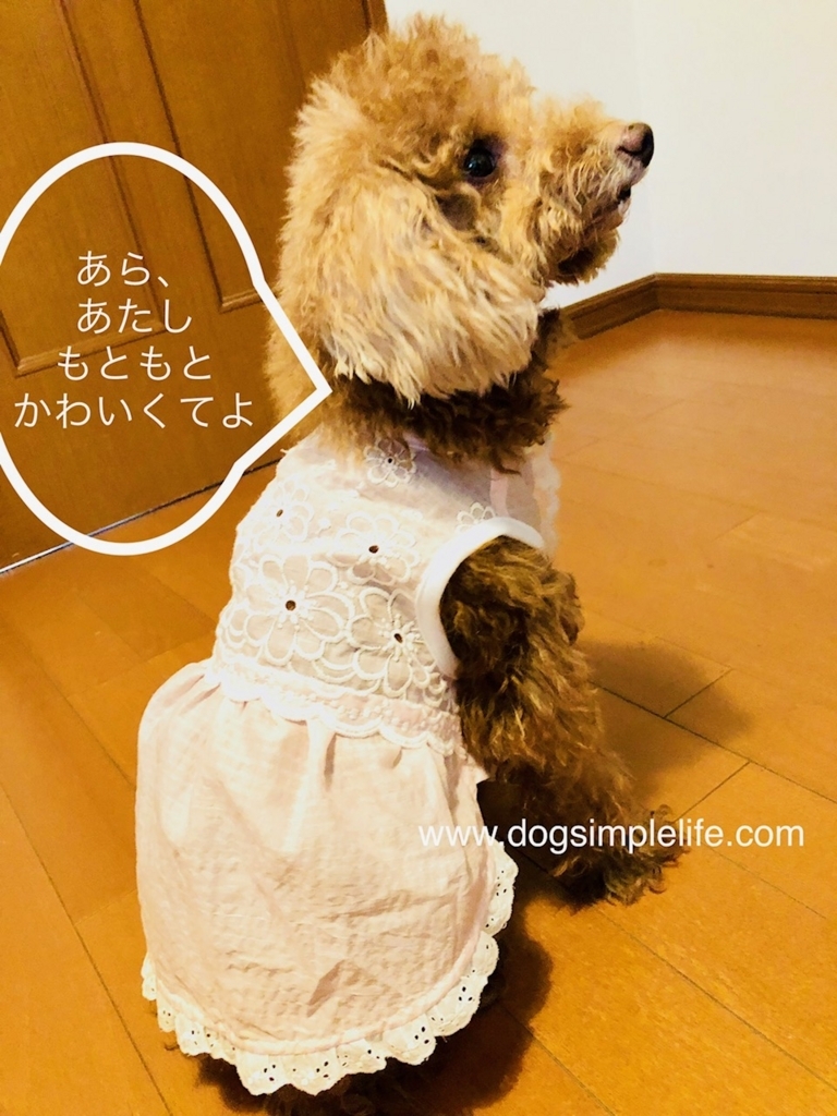 f:id:aikowakakusa16:20180507192526j:plain