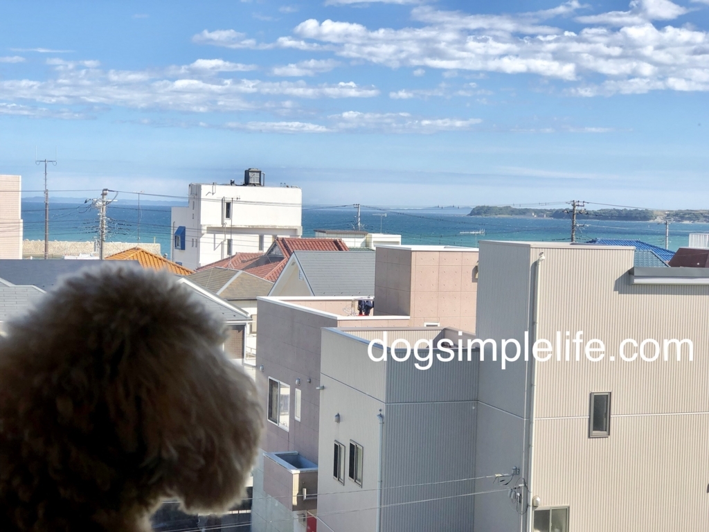 f:id:aikowakakusa16:20180821063535j:plain