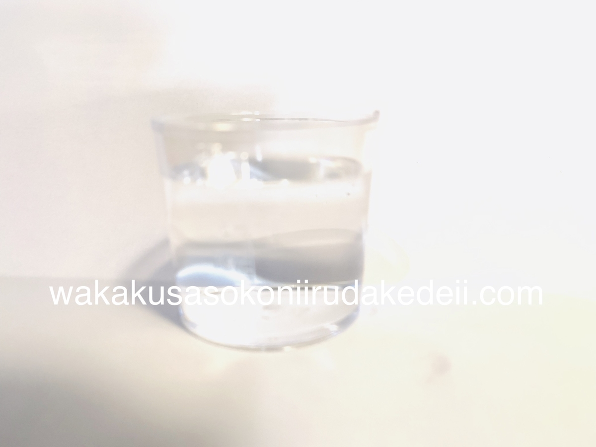 f:id:aikowakakusa16:20190330065248j:plain f:id:aikowakakusa16:20190330065248j:plain