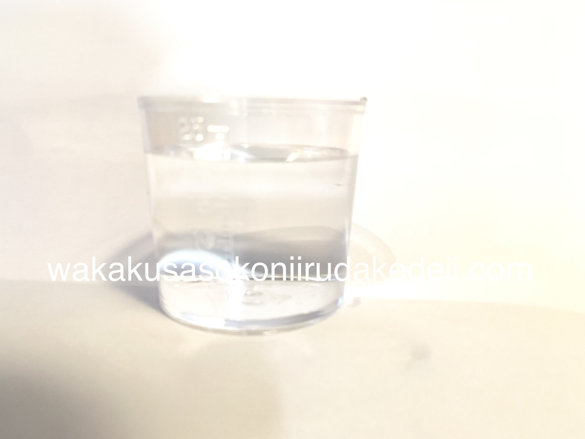 f:id:aikowakakusa16:20190330065321j:plain f:id:aikowakakusa16:20190330065321j:plain