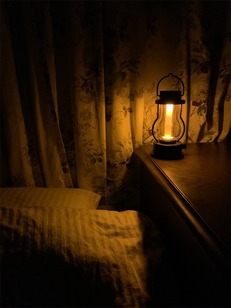 f:id:aikowakakusa16:20210524180842j:image f:id:aikowakakusa16:20210524180842j:image