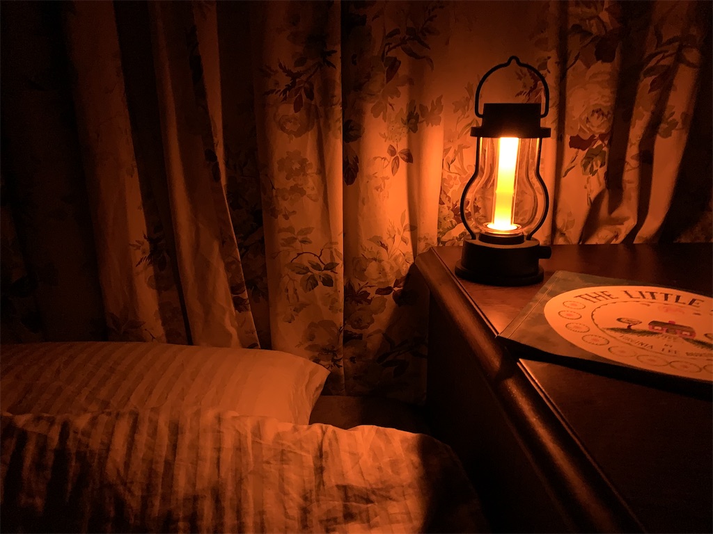 f:id:aikowakakusa16:20210524180903j:image f:id:aikowakakusa16:20210524180903j:image