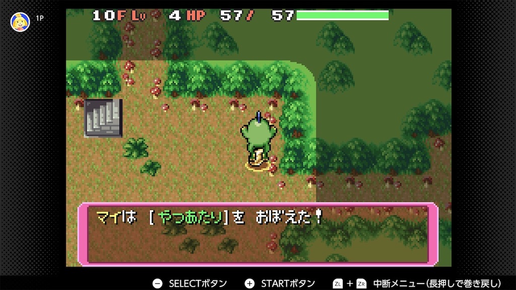 f:id:aikura228:20250310095047j:image