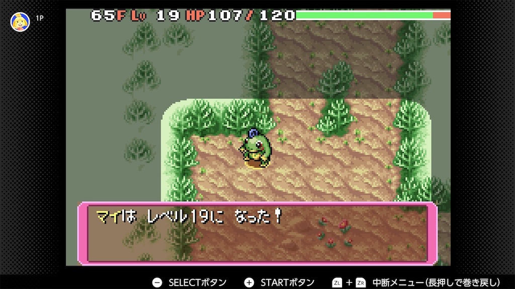 f:id:aikura228:20250314000821j:image