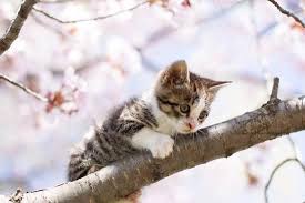 f:id:aim-d-bk12:20170404020607j:image f:id:aim-d-bk12:20170404020607j:image