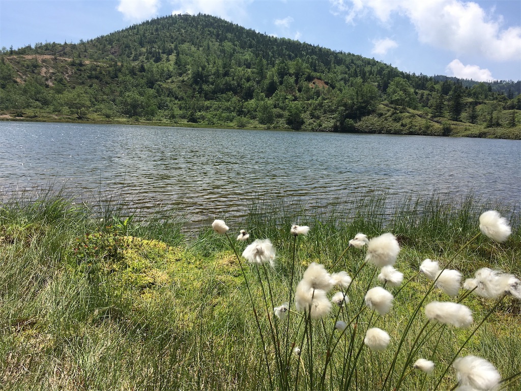 f:id:aimerci13:20170717193907j:image
