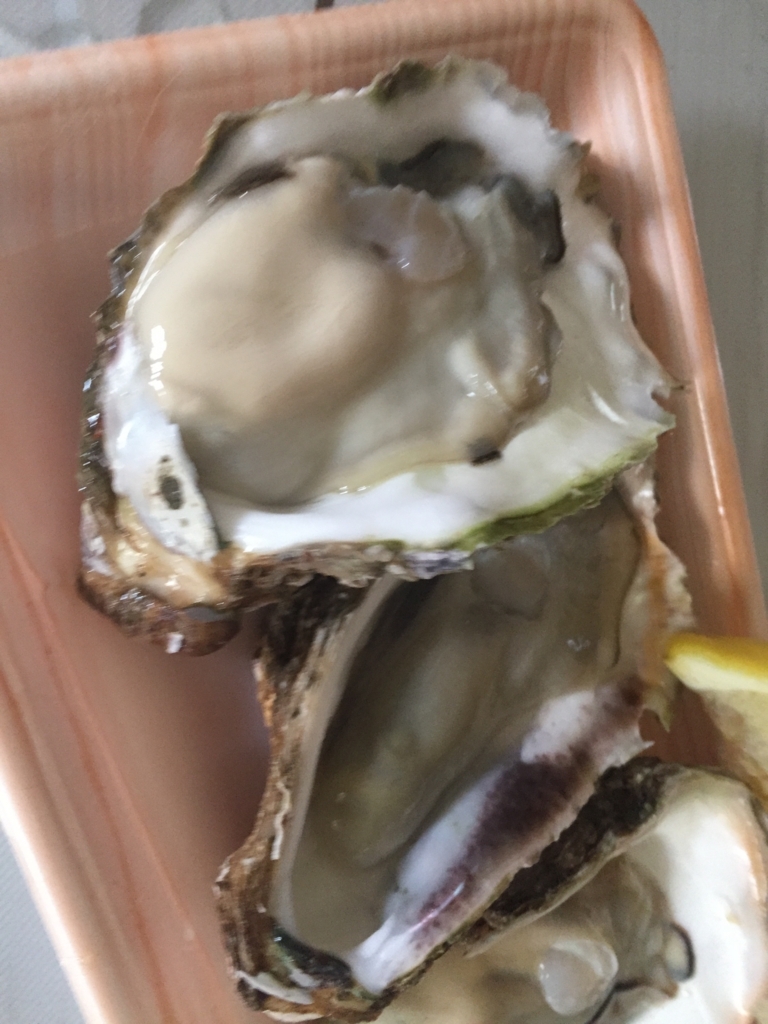 f:id:aimizu0610:20180119211727j:plain f:id:aimizu0610:20180119211727j:plain