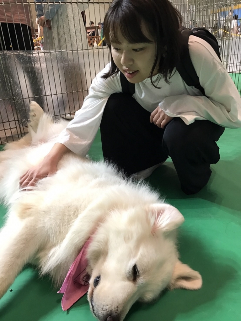 f:id:aimizu0610:20180210203418j:plain f:id:aimizu0610:20180210203418j:plain