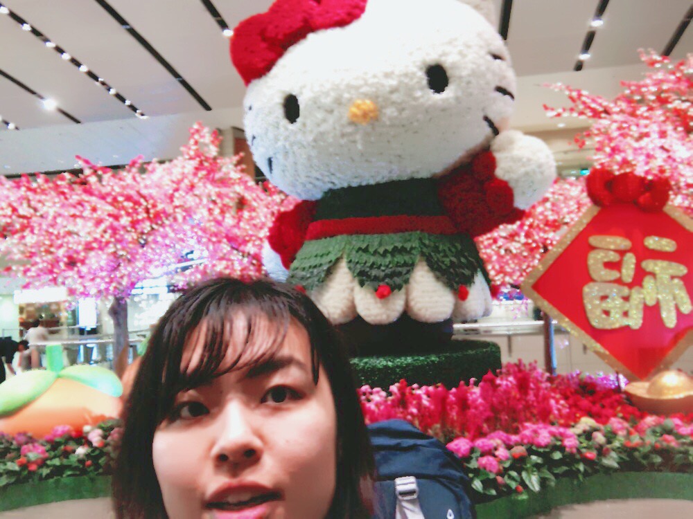 f:id:aimizu0610:20180223115626j:plain f:id:aimizu0610:20180223115626j:plain