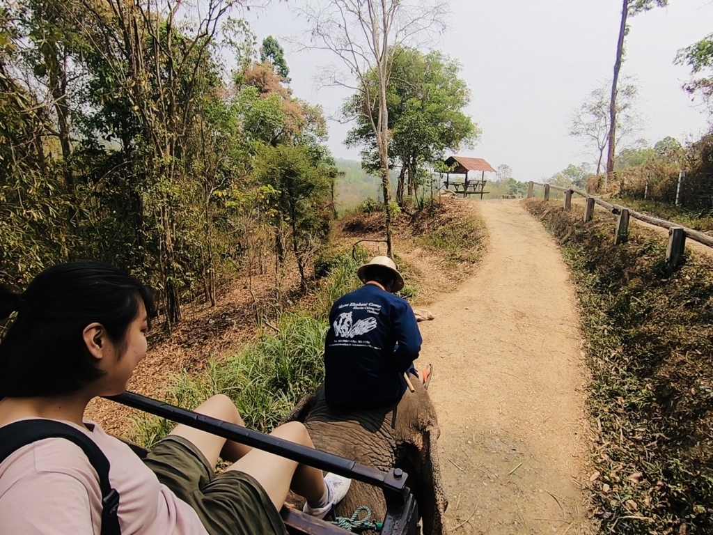 f:id:aimizu0610:20180403195901j:plain f:id:aimizu0610:20180403195901j:plain