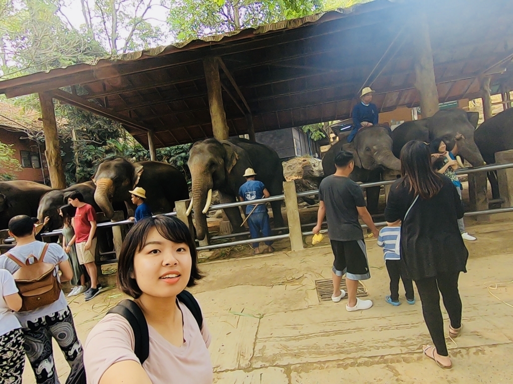 f:id:aimizu0610:20180403200233j:plain f:id:aimizu0610:20180403200233j:plain