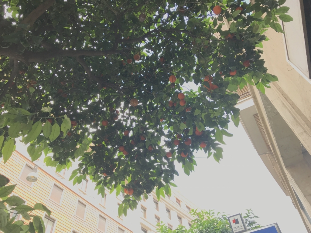 f:id:aimizu0610:20180701153304j:plain f:id:aimizu0610:20180701153304j:plain