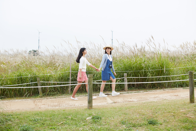 f:id:aimstogeek:20180126132015j:plain f:id:aimstogeek:20180126132015j:plain