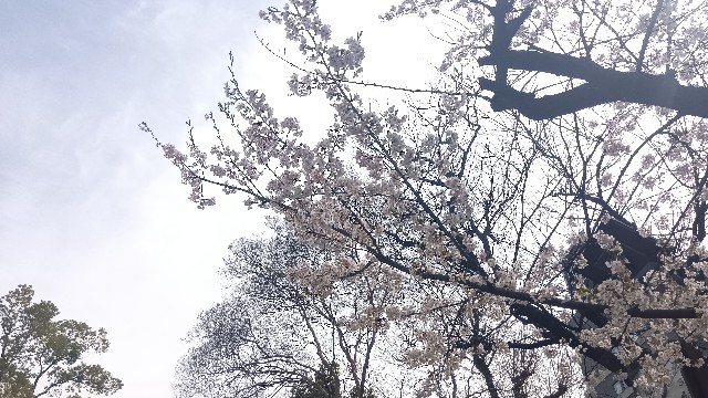 f:id:aina_miura:20250330104744j:image
