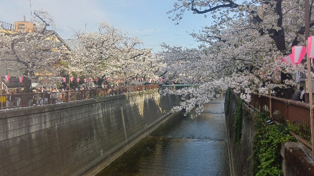 f:id:aina_miura:20250405161424j:image