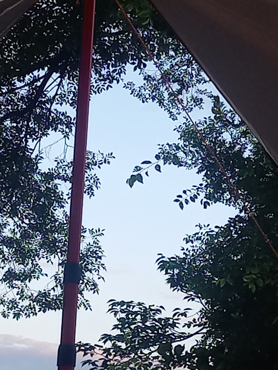 f:id:ainame01:20260707043820j:image